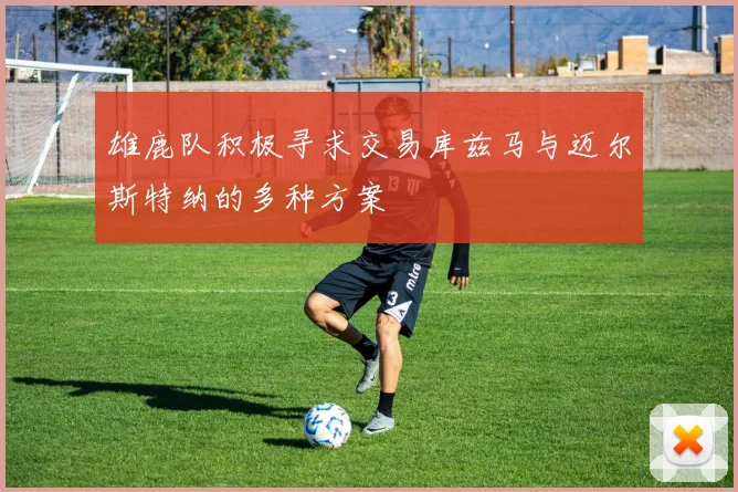 雄鹿队积极寻求交易库兹马与迈尔斯特纳的多种方案